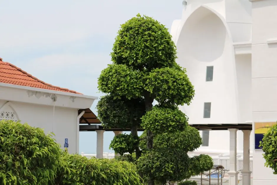 Greens & Outdoors at SIGNATURE GLOBAL FARRUKHNAGAR GURUGRAM WEST, Gurugram West
