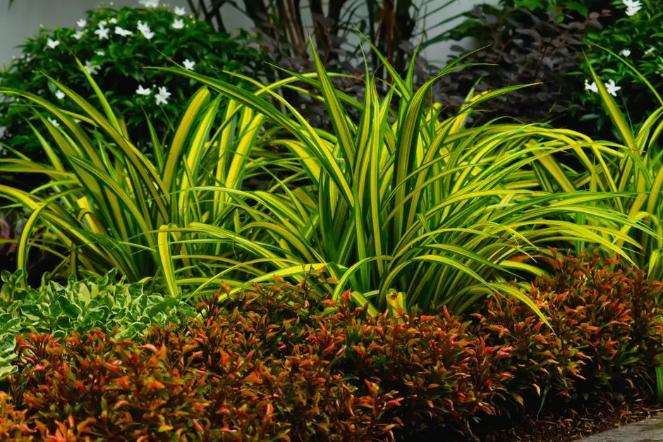 Greens & Outdoors at SIGNATURE GLOBAL SECTOR 71 SPR LAND PARCEL, Gurgaon
