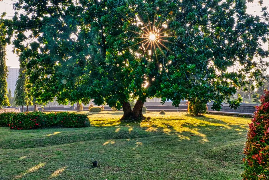 Greens & Outdoors at SIGNATURE GLOBAL MANASUM VARISHTA, Sector 37D, Gurgaon
