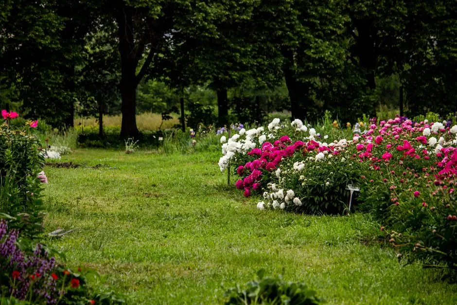 Greens & Outdoors at SIGNATURE GLOBAL DAXIN VISTAS, Sohna, Gurgaon