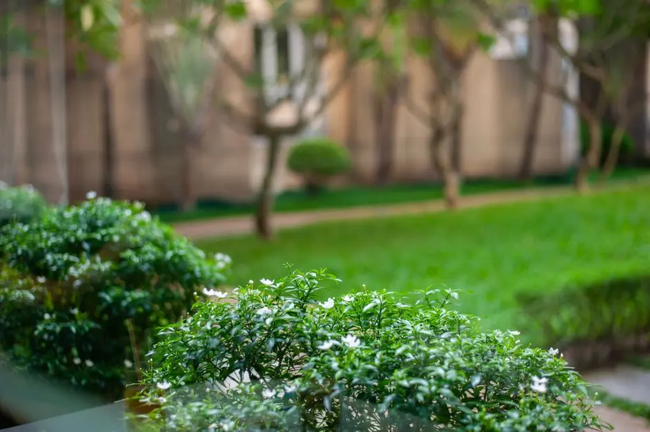 Greens & Outdoors at SIGNATURE GLOBAL PREMIUM FLOORS, Sector 36, Sohna, Gurgaon