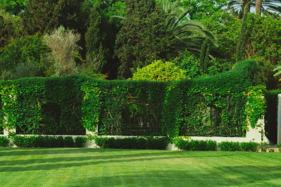 Greens & Outdoors at SIGNATURE GLOBAL THE MILLENNIA 3, Sector 37D, Gurgaon