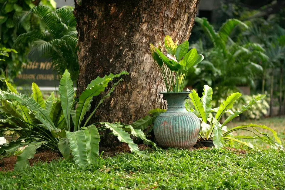 Greens & Outdoors at SIGNATURE GLOBAL THE SERENAS, Sector 36, Sohna, Gurgaon