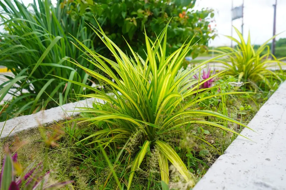 Greens & Outdoors at SIGNATURE GLOBAL GRAND IVA, Sector 103, Gurgaon