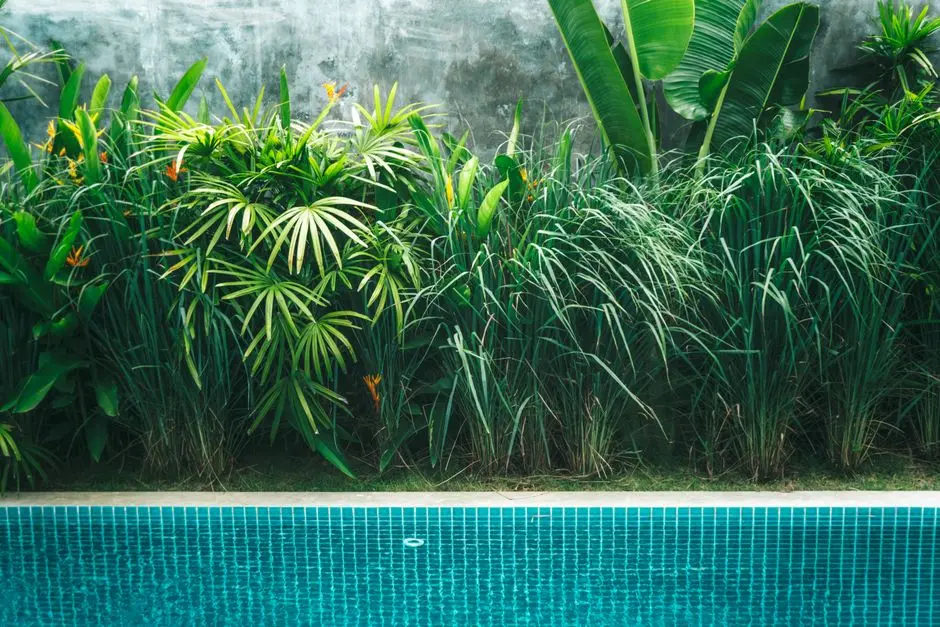 Greens & Outdoors at SIGNATURE GLOBAL ANDOUR HEIGHTS, Sector 71, Gurgaon