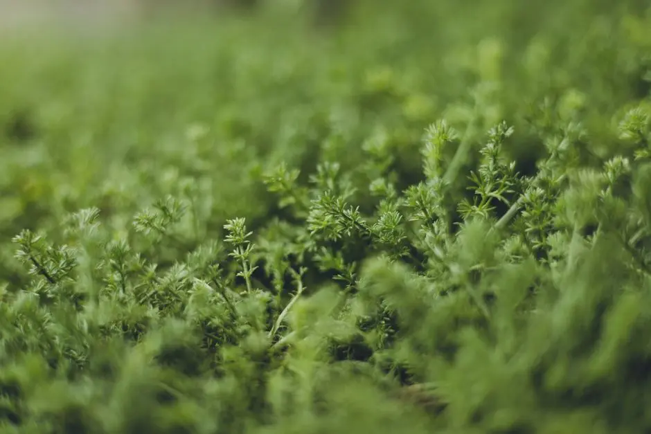 Greens & Outdoors at SIGNATURE GLOBAL CITY OF COLOURS INDUSTRIAL HUB, Sidhrawali, Gurgaon