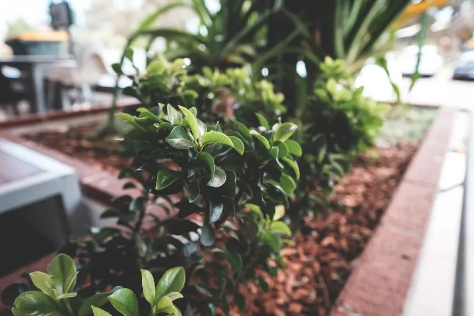 Greens & Outdoors at SIGNATURE GLOBAL SIGNUM 71, Sector 71, Gurgaon