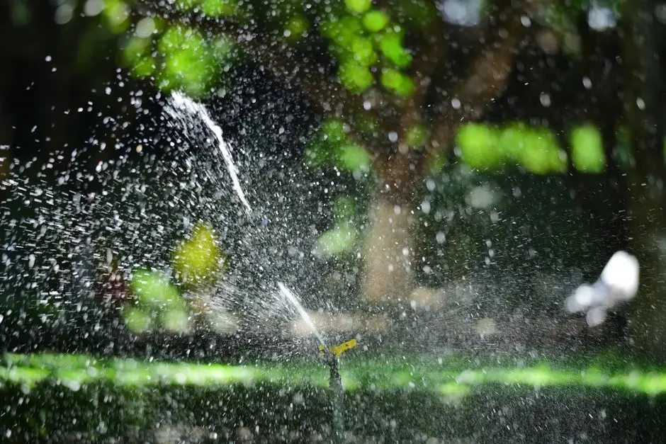 Greens & Outdoors at SIGNATURE GLOBAL SIGNUM 93, Sector 93, Gurgaon