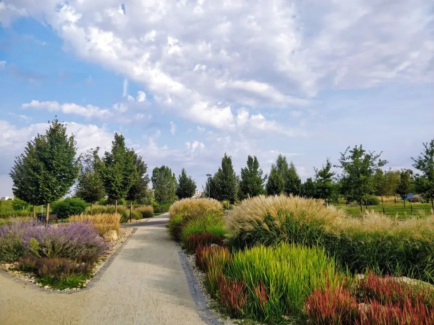 Greens & Outdoors at SIGNATURE GLOBAL SIGNUM SECTOR 36 SOUTH, Sector 36, Sohna, Gurgaon