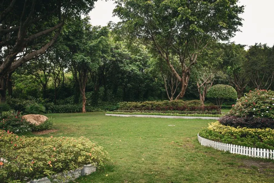 Greens & Outdoors at SIGNATURE GLOBAL SIGNUM PLAZA 79B, Sector 79B, Gurgaon