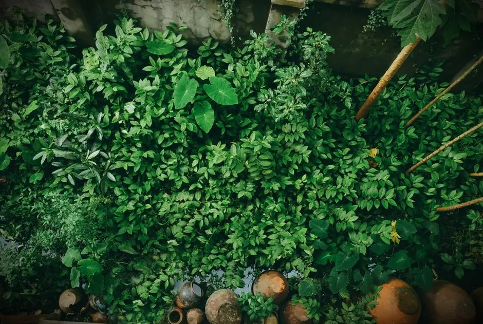 Greens & Outdoors at SIGNATURE GLOBAL SCO 88A, Sector 88A, Gurgaon