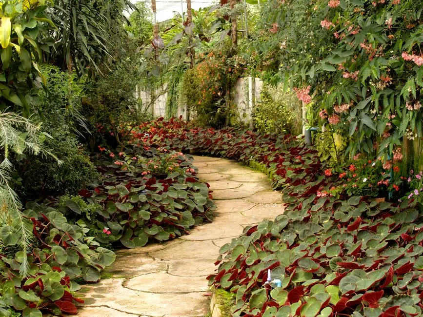 Greens & Outdoors at SIGNATURE GLOBAL SIGNUM PLAZA 5, Sector 36, Gurgaon