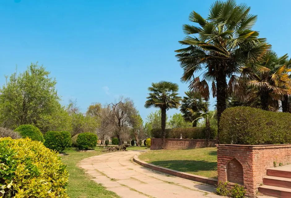 Greens & Outdoors at SIGNATURE GLOBAL DAXIN BUSINESS PARK, Sector 36, Sohna, Gurgaon