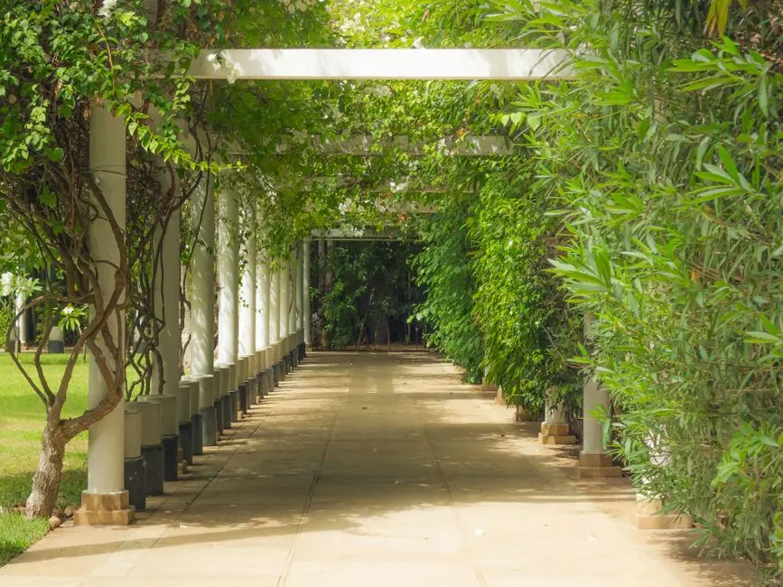Greens & Outdoors at SIGNATURE GLOBAL THE MILLENNIA 2, Sector 37D, Gurgaon
