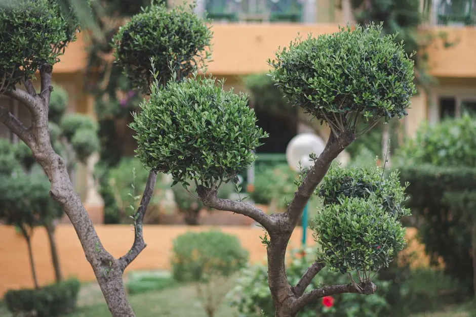 Greens & Outdoors at SIGNATURE GLOBAL ULTRA LUXURY LOW RISE INDEPENDENT FLOORS, Ghamroj, Gurgaon
